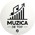 Muzica de Top