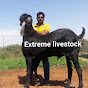 Extreme Goats | Extreme Livestock Exports pvt ltd