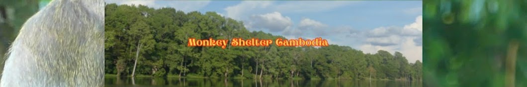 Monkey Shelter Cambodia