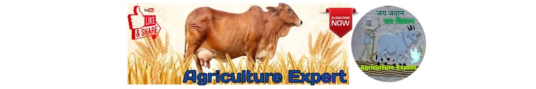 Agriculture Expert