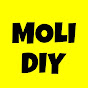 MOLI DIY