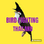 Bird Fighting Thailand 