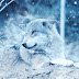 SnowyWolf