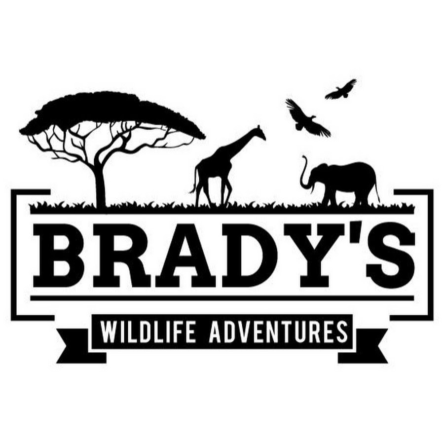 Bradys Wildlife Adventures