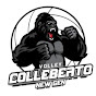 Collebeato Volley