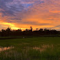 Vietnamese countryside