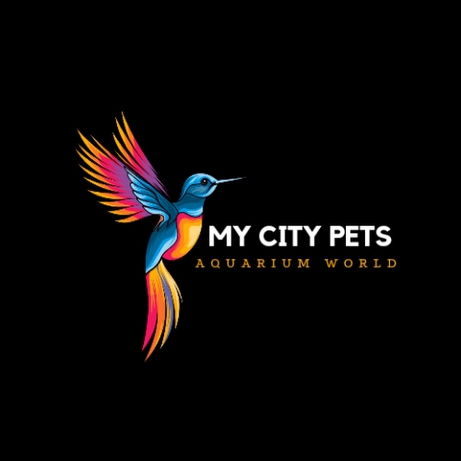 My City Pets Shop