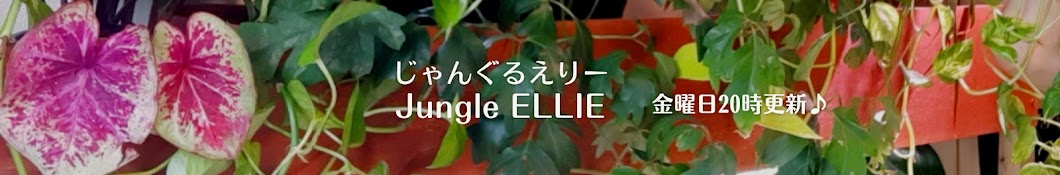 じゃんぐるえりーJungleELLIE