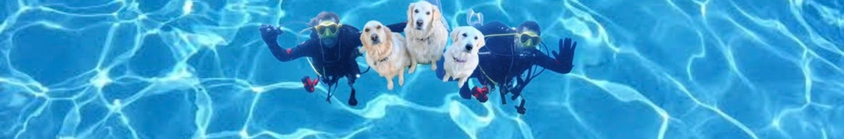 dogzlifedivingadventures