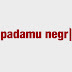 Padamu negri pictures