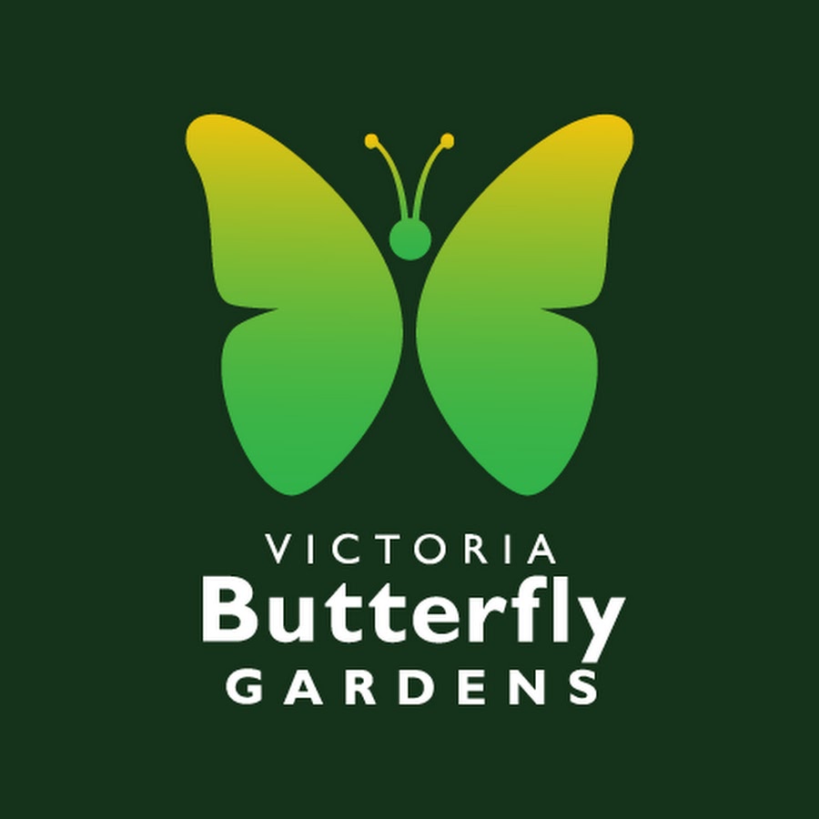 Butterfly Gardens - YouTube Butterfly Gardens