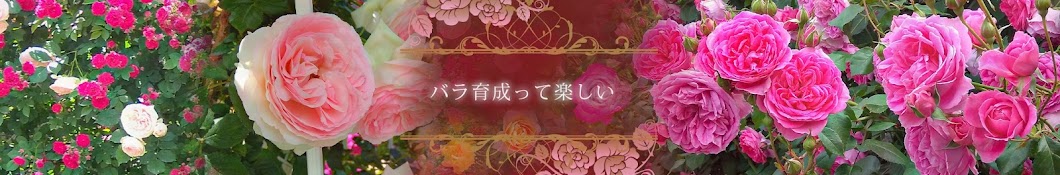 たきちゃんの日記【Rose Garden】