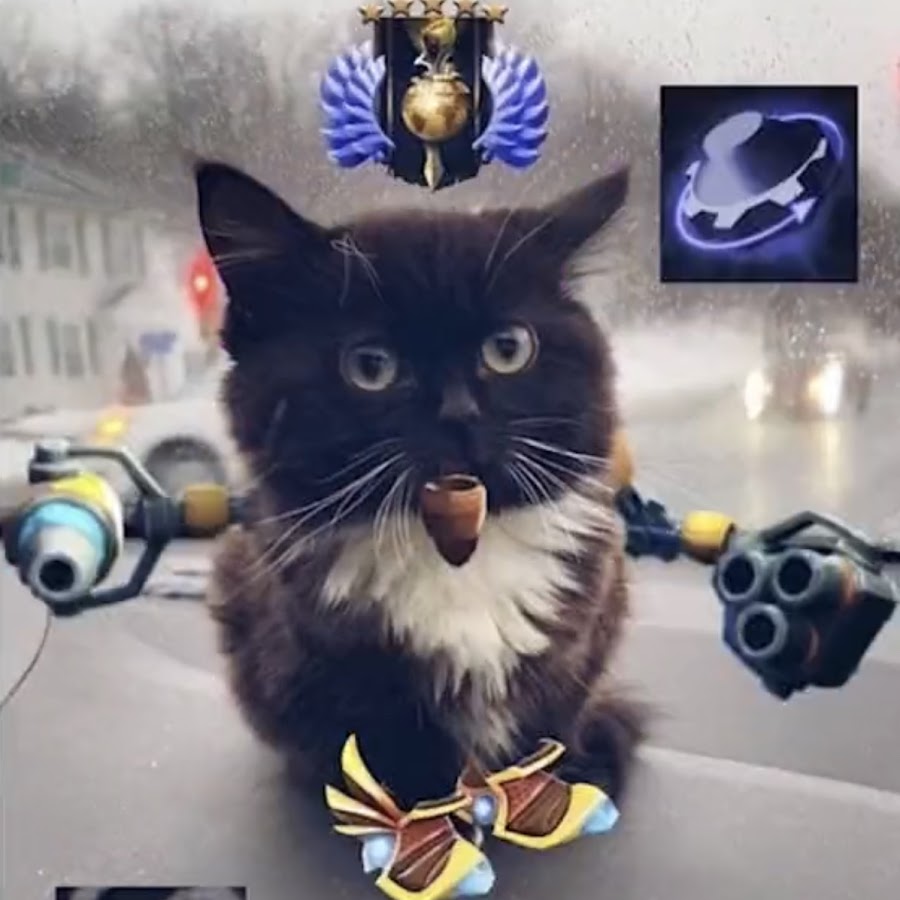 Dota cat фото