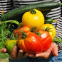 Huevos organicos y frutas organicas cali colombia