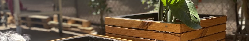 Citrus Cedar