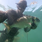 Breizh Bar Spearfishing