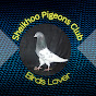 Sheikhoo Pigeons Club