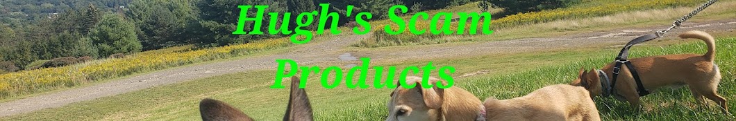 Hugh's Scam Products Banner