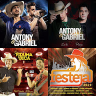 SERTANEJO 2010-2016