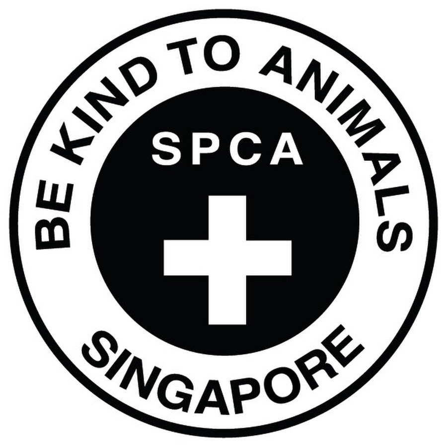 SPCA Singapore @spcasingaporeofficial