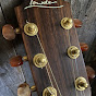 Aaron Rashaw Salt City Guitar