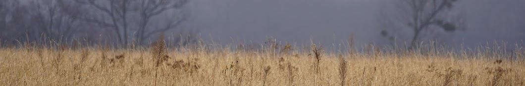 Mazowieckie Parki Krajobrazowe Przyroda i Edukacja