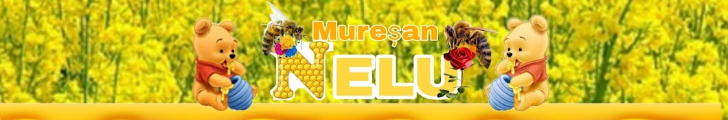 Nelu Mureşan*official