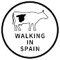 WALKING IN SPAIN