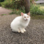 ねこみん　本日無職になりまして。