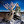 bowmarbowhunting avatar