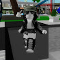 Ferlita Roblox gaming