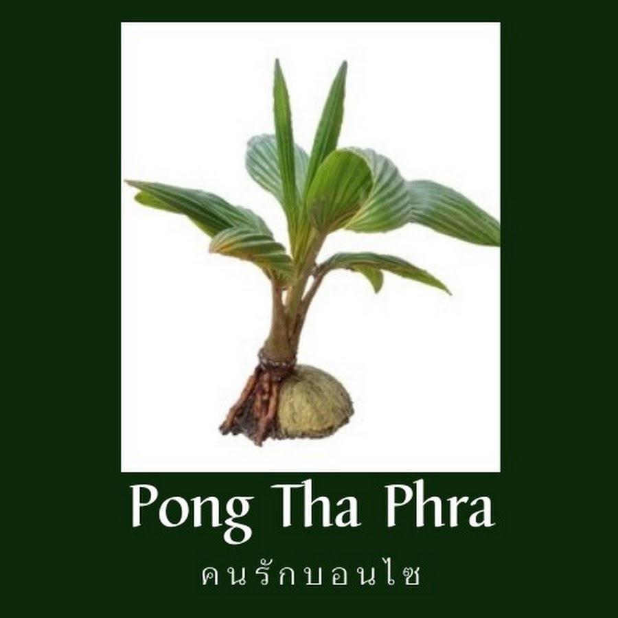 Ready go to ... https://www.youtube.com/channel/UCsh-VOGcs9wXKoEnP89Ve_w [ à¸à¹à¸­à¸à¸à¹à¸²à¸à¸£à¸° Pong Tha Phra]