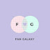 FAN GALAXY