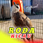 RODA KICAU