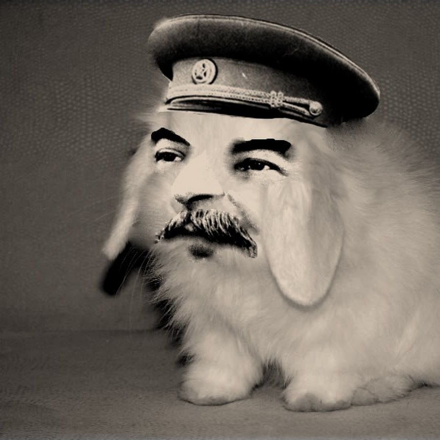 Иосиф Сталин Виссарионович кролик
