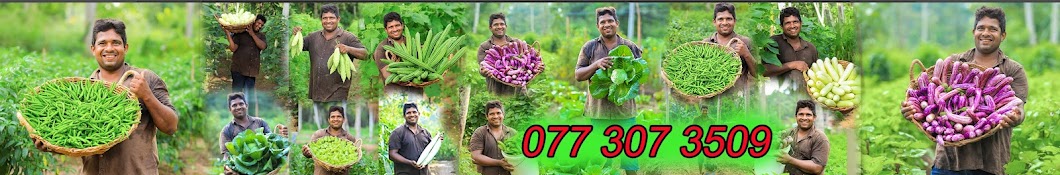 agriculture nihal ranasingha Banner