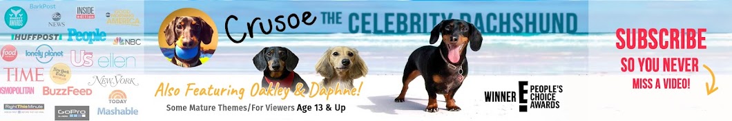 Crusoe the Dachshund Banner