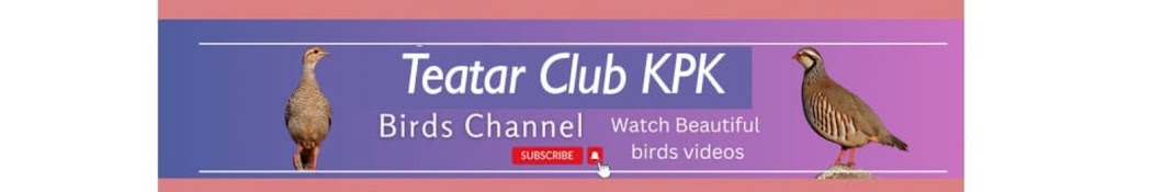 Teatar club kpk