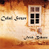 Celal Sezer - Topic