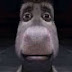 logo Mr.Donkey