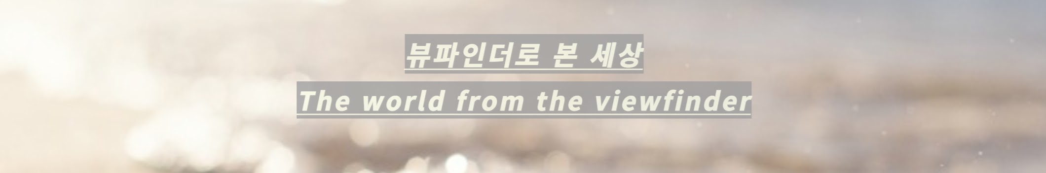 banner