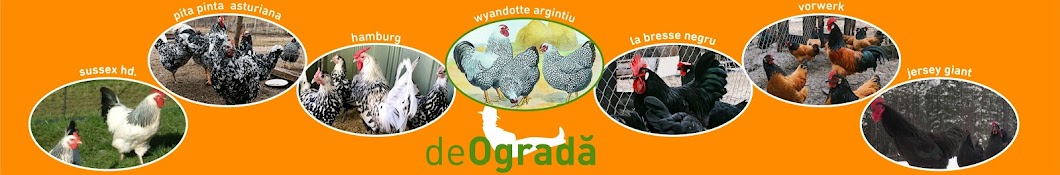 De Ograda