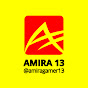 AMIRA 13