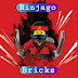 Ninjago Bricks 