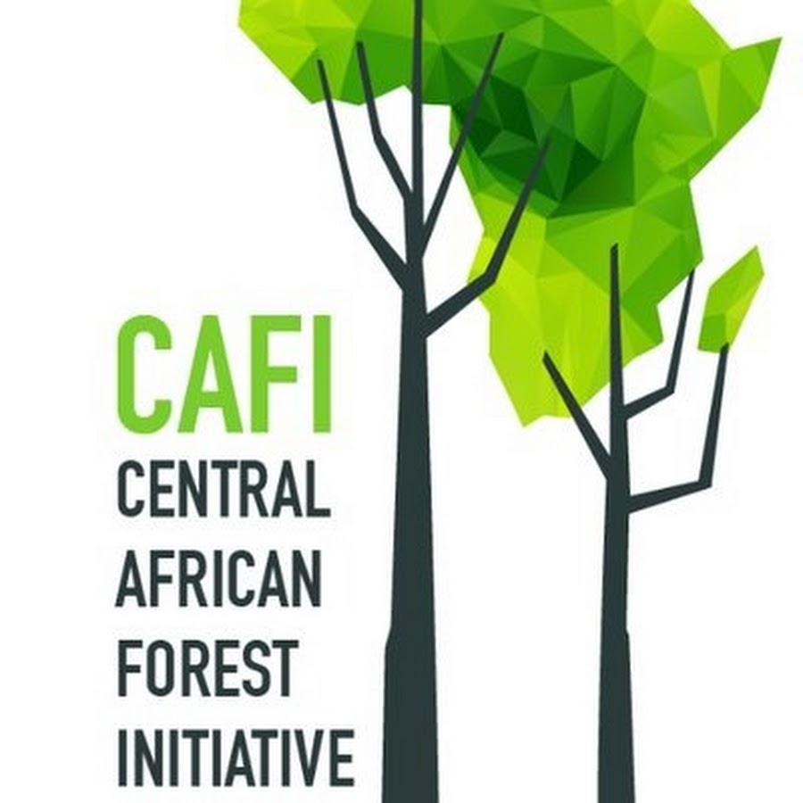 Central African Forest Initiative (CAFI) - YouTube