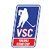 logo Valdai Star Cup