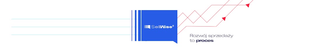 SellWise - Doradztwo i Szkolenia