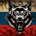 logo Volk Volkov