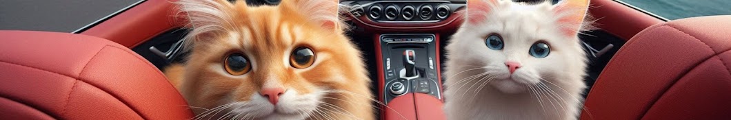 Storys Meow 