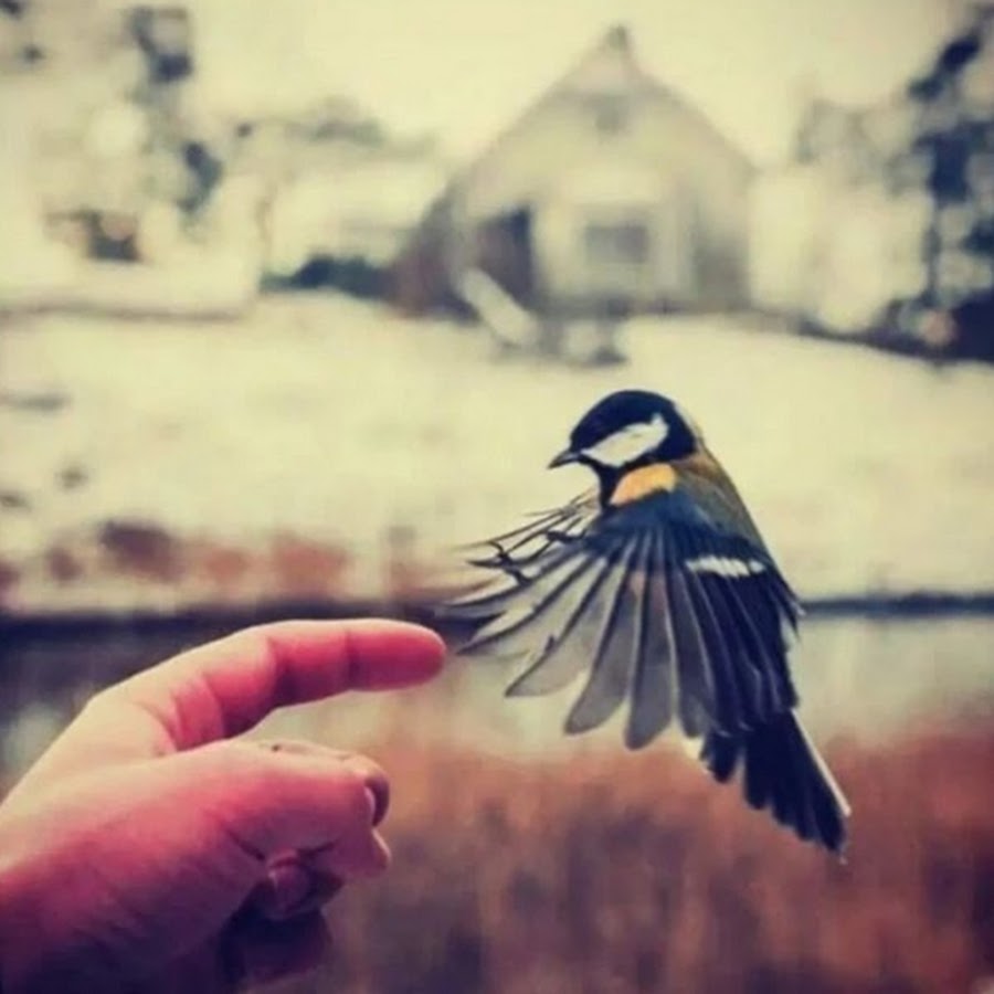 𝐃𝐞𝐫𝐭 𝐎𝐫𝐭𝐚ğı𝐧 @dert_ortagin